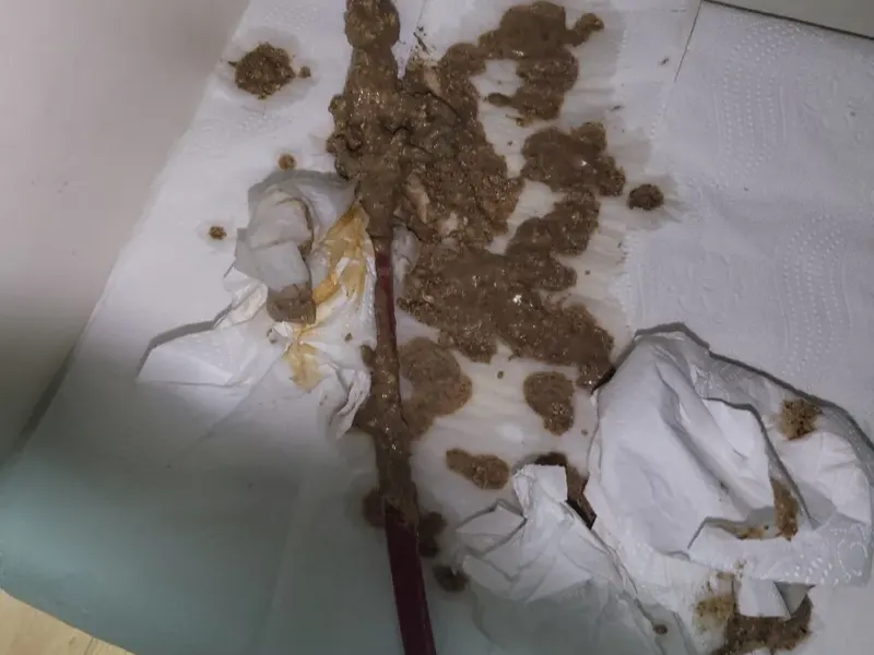 사상구 하수구 냄새 원인과 집에서 먼저 할 일
